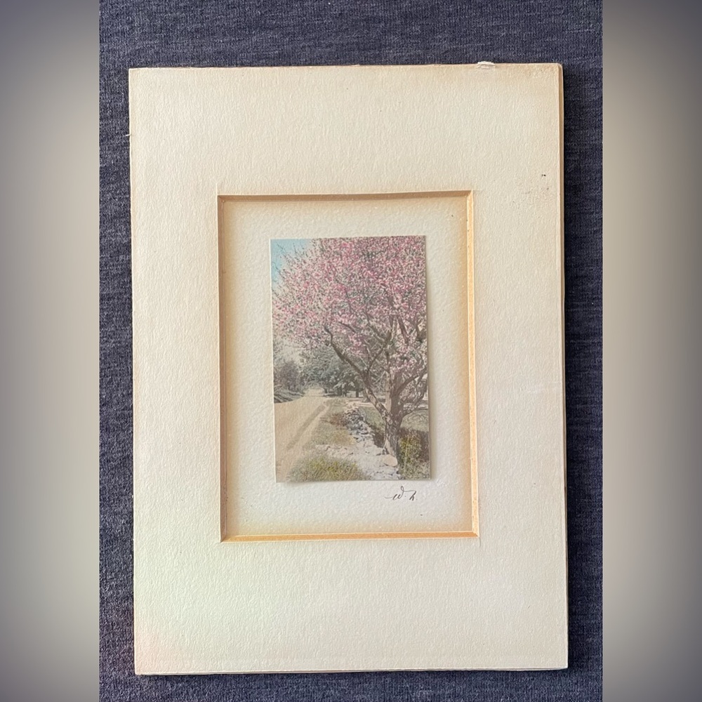 Wallace Nutting - signed - Tree in Blossom - Vintage colored print